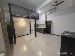 Sims Urban Oasis (D14), Condominium #506855271